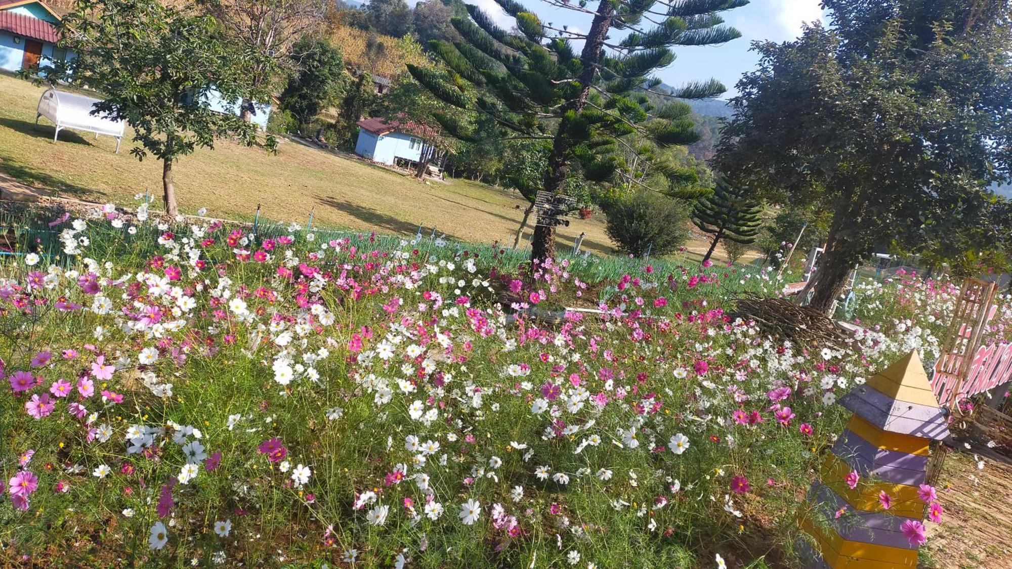 Mong Homestay Resort Pang Ung Exteriör bild