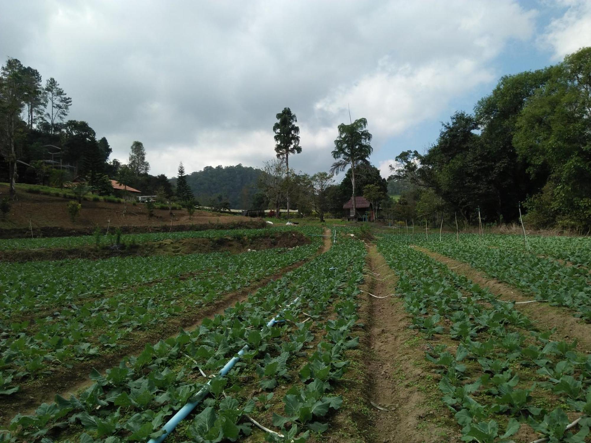 Mong Homestay Resort Pang Ung Exteriör bild