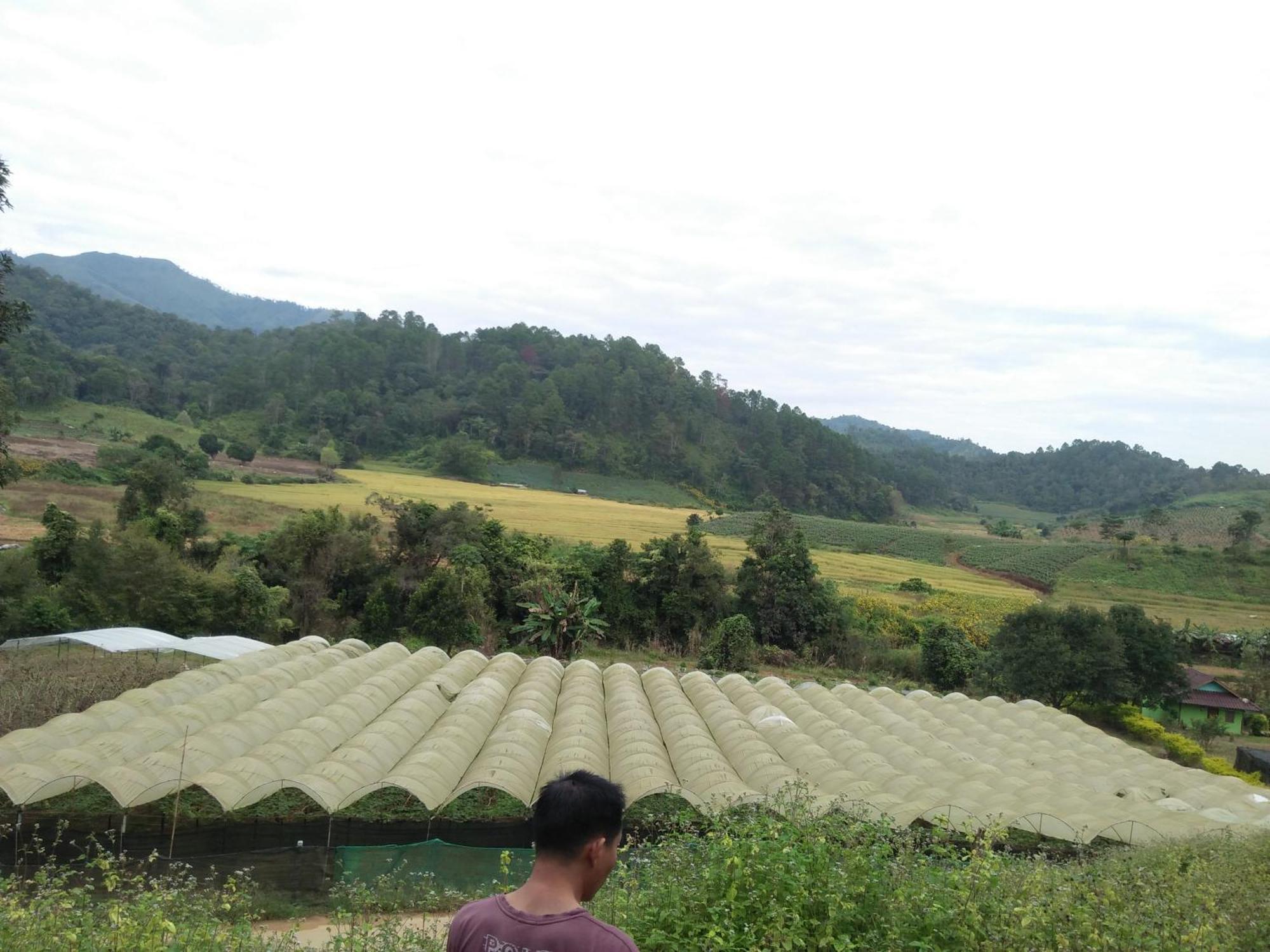 Mong Homestay Resort Pang Ung Exteriör bild